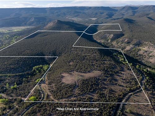 Jay Creek Hunting Ranch : Hotchkiss : Delta County : Colorado