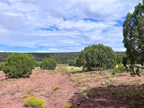 Easy Access & Lush Trees $125/Mo : Snowflake : Navajo County : Arizona