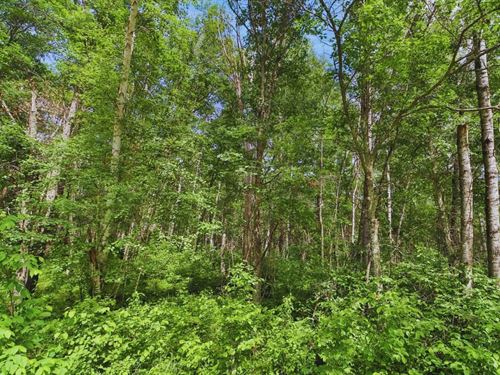 Cul-De-Sac Privacy $125-$250/Mo : Breezy Point : Crow Wing County : Minnesota