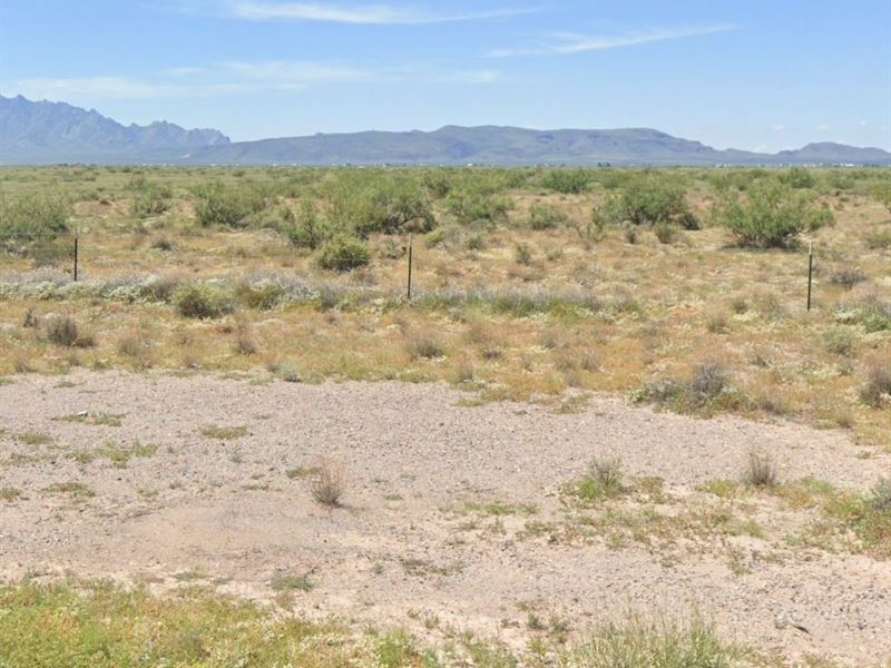 .50 Acres for $75/Mo : Deming : Luna County : New Mexico