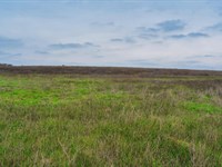 2.6+ Acres Near Austin, TX : Kingsbury : Guadalupe County : Texas