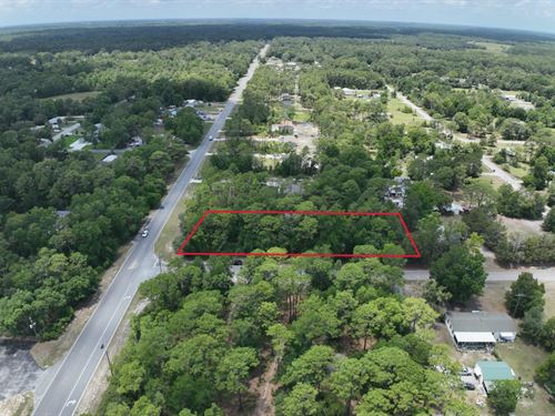 2994 S Pine Ridge Ave, Homosassa : Homosassa : Citrus County : Florida