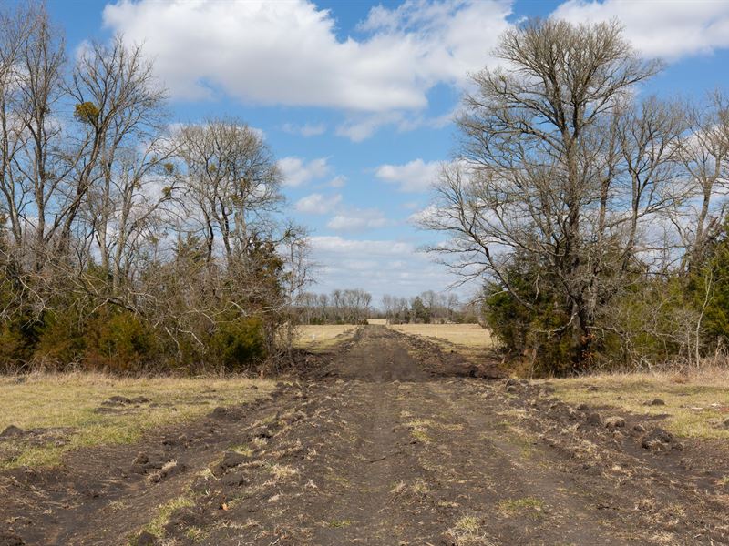 Own Texas Land $999 Down : Clarksville : Red River County : Texas