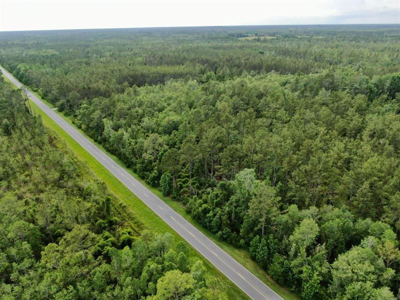 Hwy 14 27.5 Acres : Greenville : Madison County : Florida