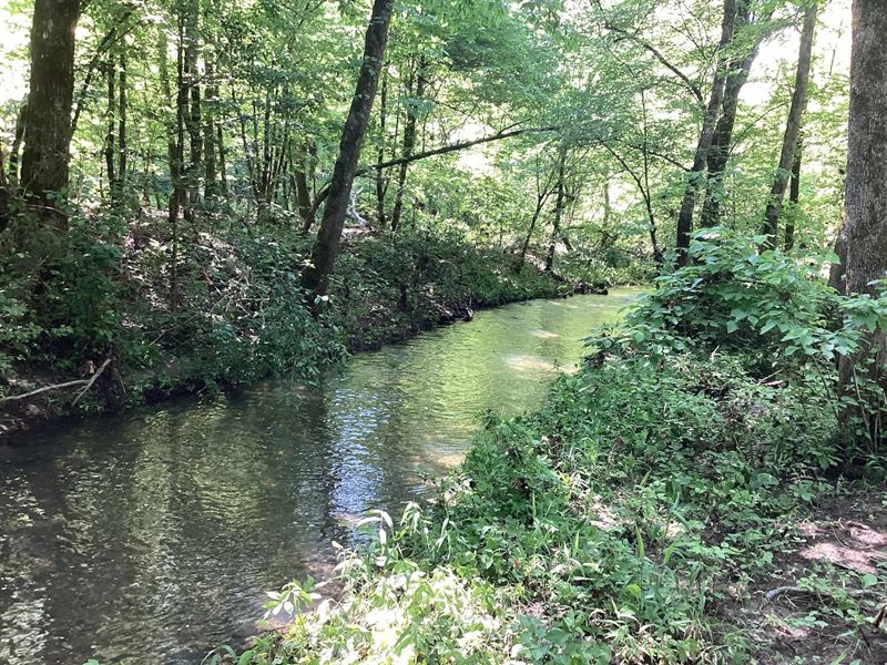 10.82 Acres in Montgomery County : Oden : Montgomery County : Arkansas