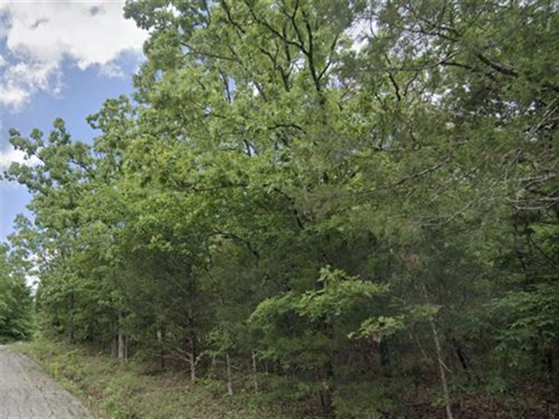 Retirement Dream Lot : Horseshoe Bend : Izard County : Arkansas