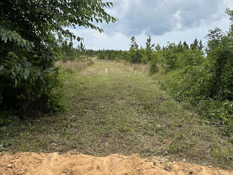 Owner Financed with Homesite : Eastman : Pulaski County : Georgia