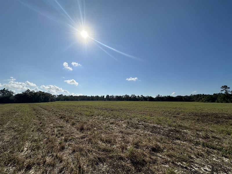 Lot 1, Two Pond Farms, 10.75Ac : Citra : Marion County : Florida
