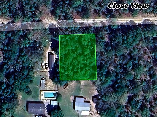 Your Next Big Adventure Starts Here : Interlachen : Putnam County : Florida