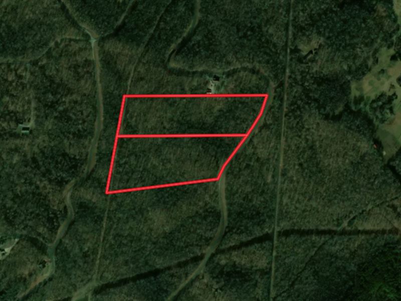 24.68 Acres Near Eddyville, Ky, Ofa : Eddyville : Lyon County : Kentucky
