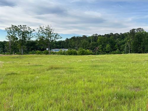 40 Ac Liberty Hill Drive : Evergreen : Conecuh County : Alabama