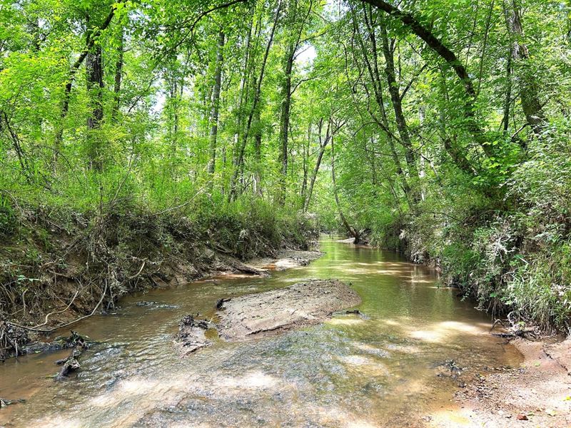 346 AC Next To BF Grant : Eatonton : Putnam County : Georgia