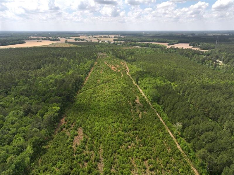 34.4 Acres of Recreational Land : Robersonville : Martin County : North Carolina
