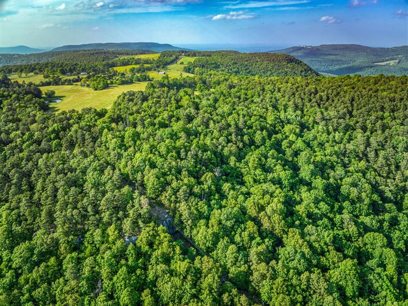 Witts Spring 38 : Witts Springs : Searcy County : Arkansas