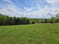 Fallen Tree 80 : Marshall : Searcy County : Arkansas