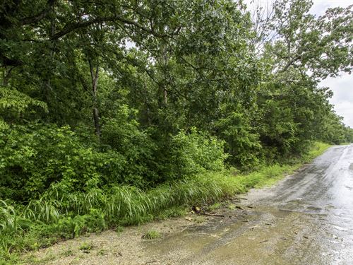 Walk to Pioneer Lake From This Lot : Horseshoe Bend : Izard County : Arkansas