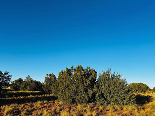 Elevated Scenic Land $175-$350/Mo : Williams : Coconino County : Arizona