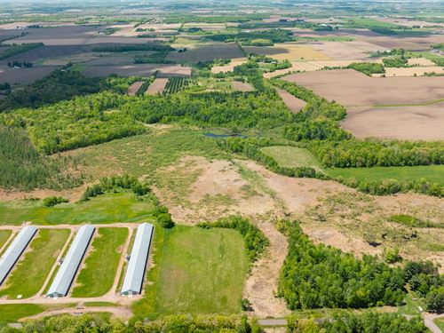 40.01 Acres Barron County : Barron : Wisconsin