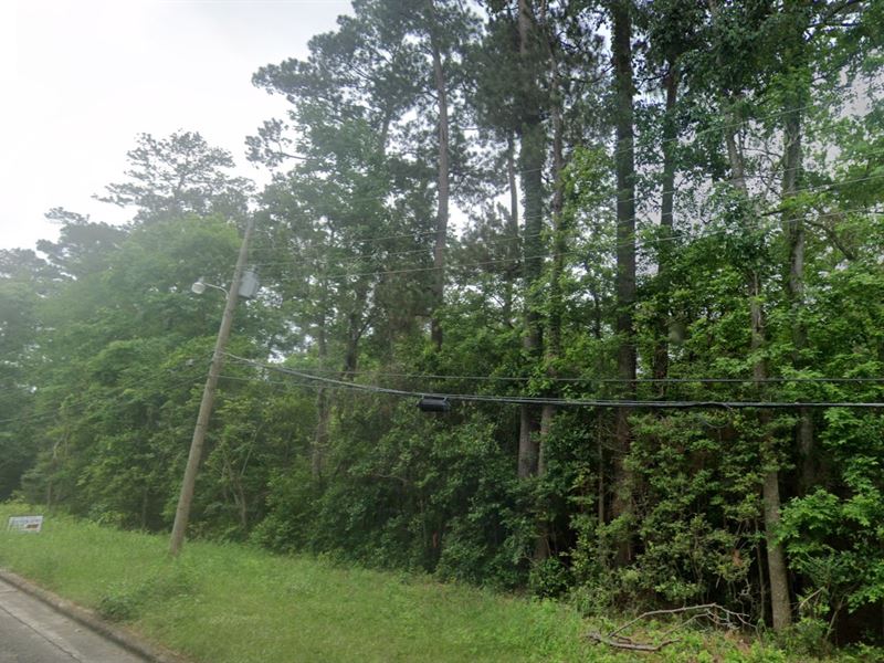 Scenic Wooded Lot in Livingston, TX : Livingston : Polk County : Texas