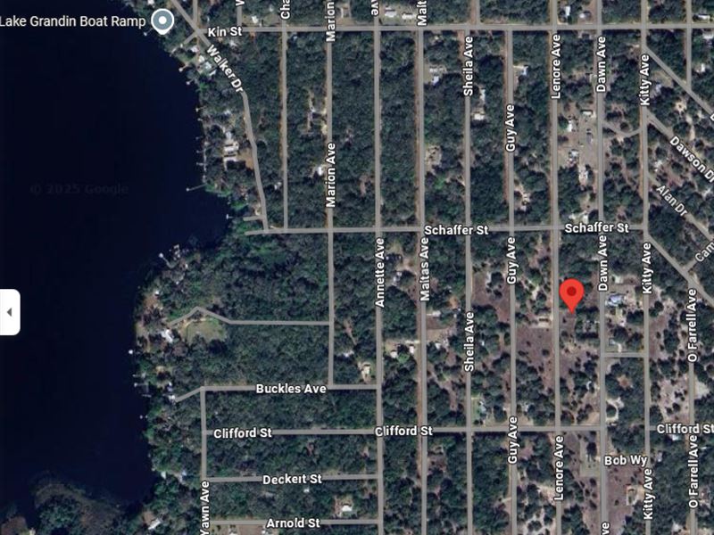 Own a Peaceful Florida Getaway $219 : Interlachen : Putnam County : Florida