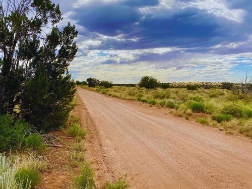 Treed Lot 1.13 Acres AZ $175/Mo : Snowflake : Navajo County : Arizona
