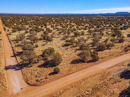 No Neighbors, Just Trees $175/Mo : Snowflake : Navajo County : Arizona