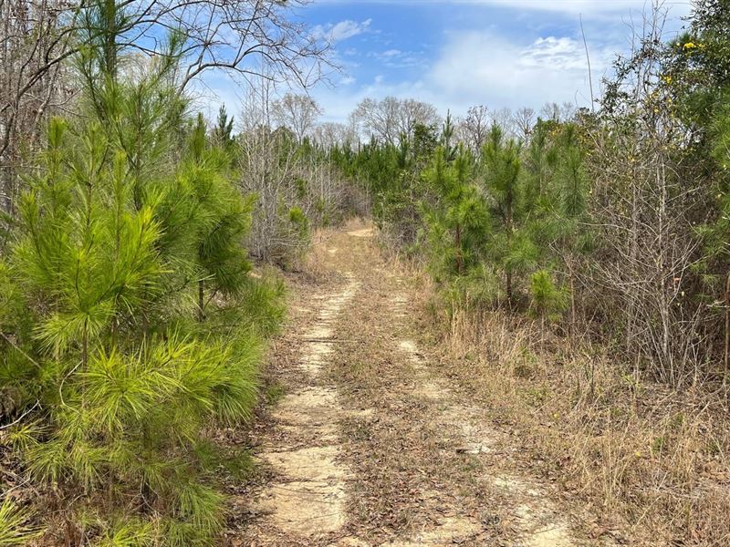 85 Ac Hicks Rd : Rutledge : Crenshaw County : Alabama