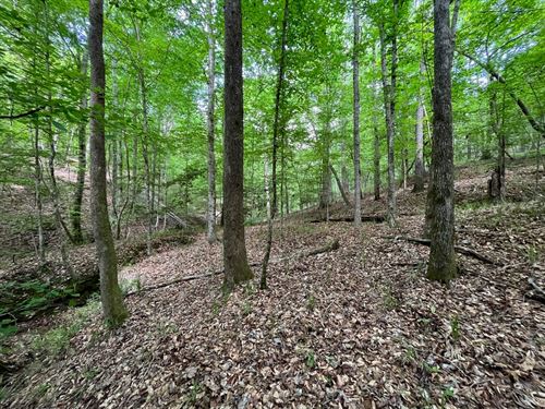 200 Acres Crenshaw Co Hwy 106 : Brantley : Crenshaw County : Alabama