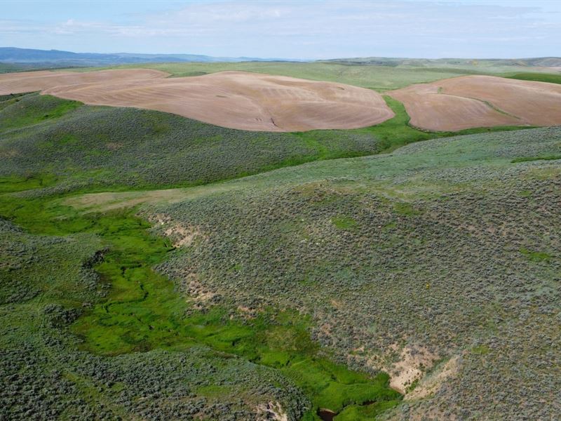 North Elkhead Tract 3 : Craig : Moffat County : Colorado
