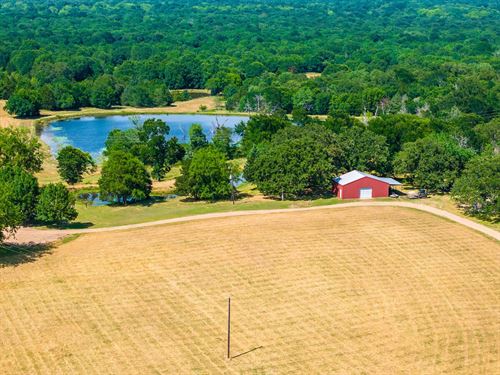 120.30 Acres in Wills Point, Texas : Wills Point : Van Zandt County : Texas