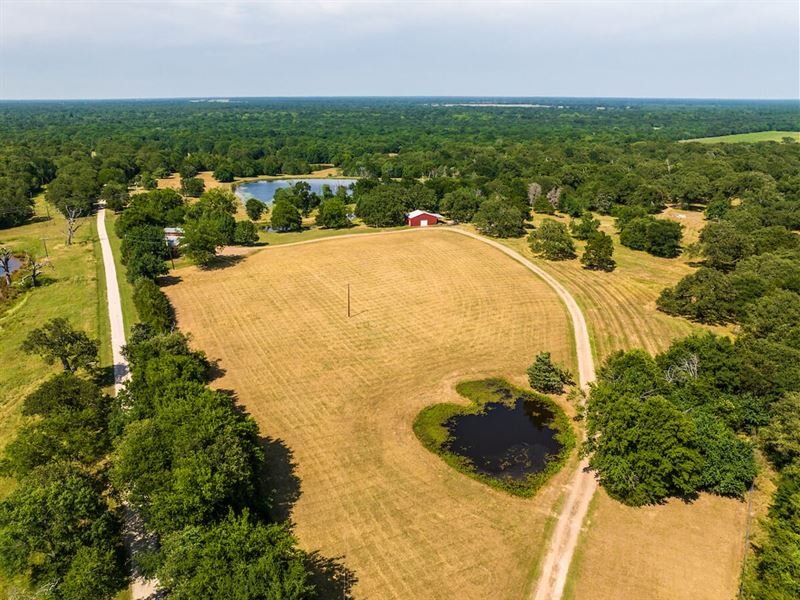 120.30 Acres in Wills Point, Texas : Wills Point : Van Zandt County : Texas