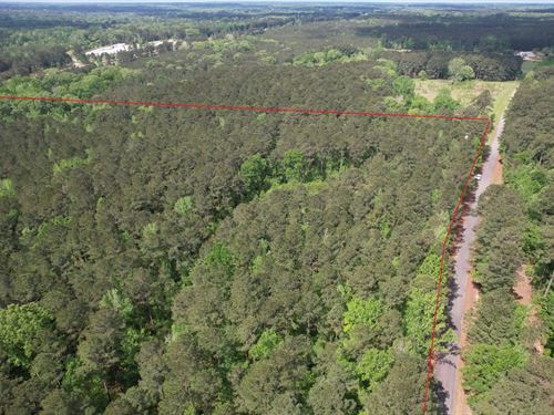 Emory Road Tract, Lincoln Parish, 4 : Choudrant : Lincoln Parish : Louisiana