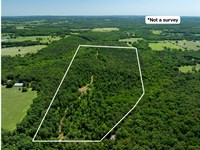 71 Acres of Prime Hunting in Flo : Floral : Independence County : Arkansas