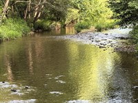 Walnut Grove 388 Acre Recreational : Savannah : Hardin County : Tennessee