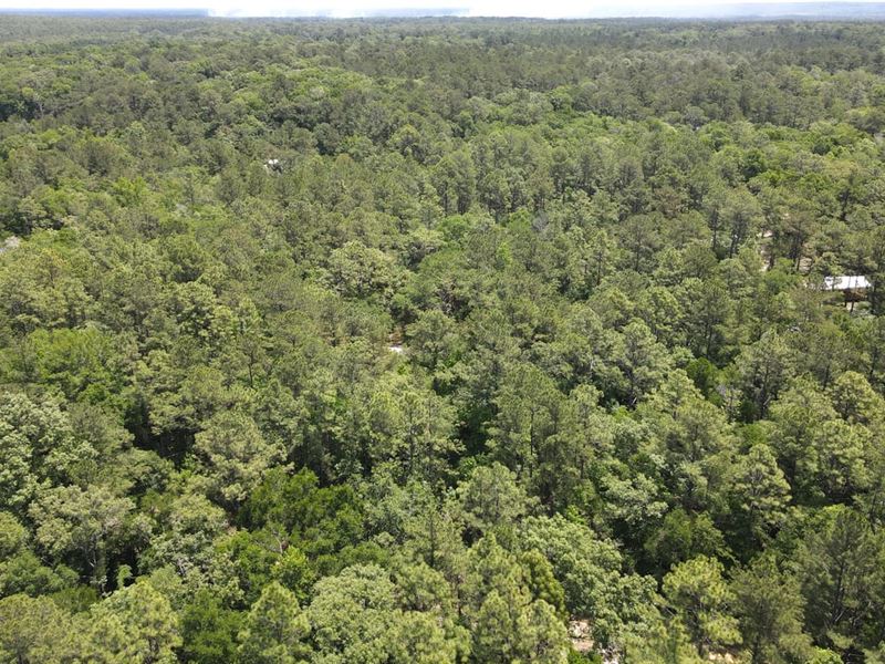 Choctaw Road : Vernon : Washington County : Florida