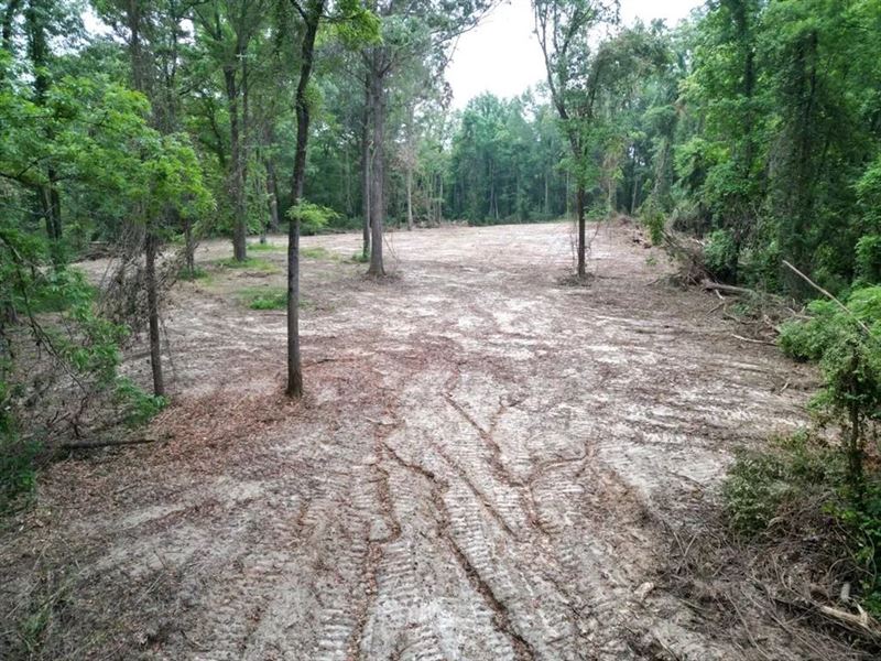 Hamburg 41 Hunting Land for Sale : Roxie : Franklin County : Mississippi