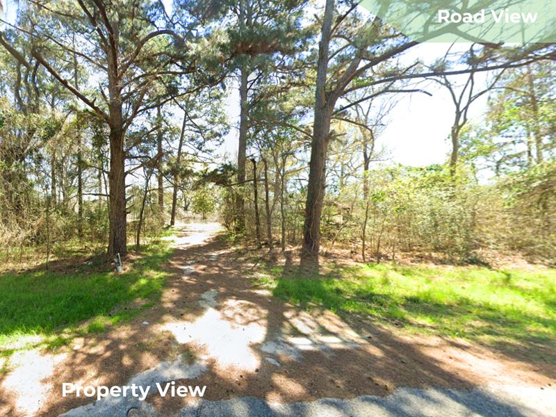 .59 Acres in Oakhurst, TX : Oakhurst : San Jacinto County : Texas