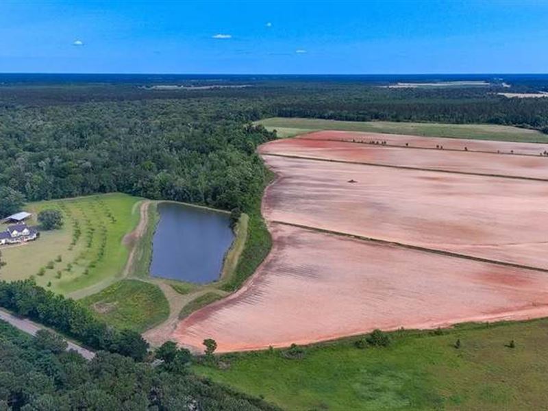 Large Residential Lot, Colquitt GA : Colquitt : Miller County : Georgia