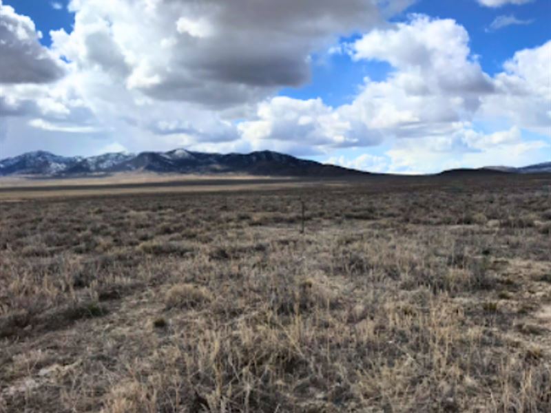Land You Can Afford, Farm, Build : Elko : Elko County : Nevada