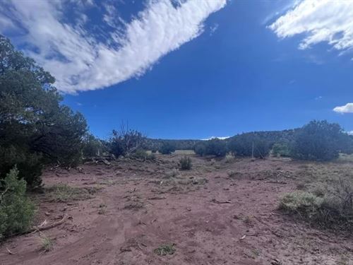 1.21 Acre Living & Hustling $275/Mo : Snowflake : Navajo County : Arizona