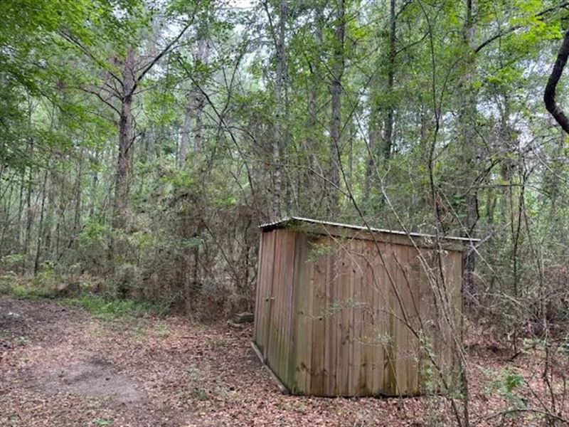152 Fortenberry Road : Tylertown : Walthall County : Mississippi