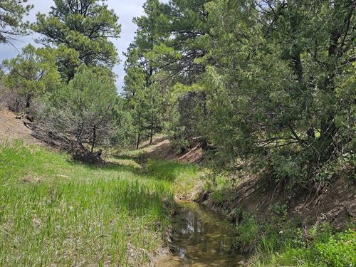 36 Picketwire Ranch : Trinidad : Las Animas County : Colorado