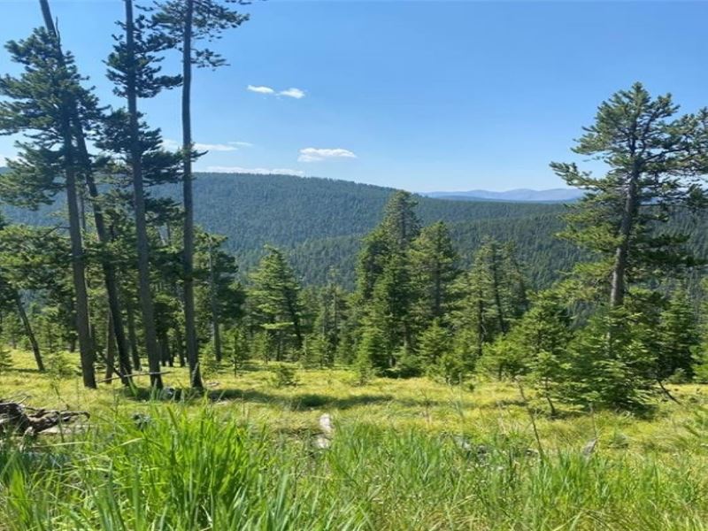 Alaska Lode : Philipsburg : Granite County : Montana