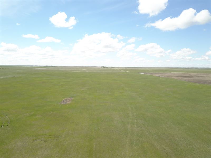 161.04 Acres-Mcpherson County : Leola : McPherson County : South Dakota