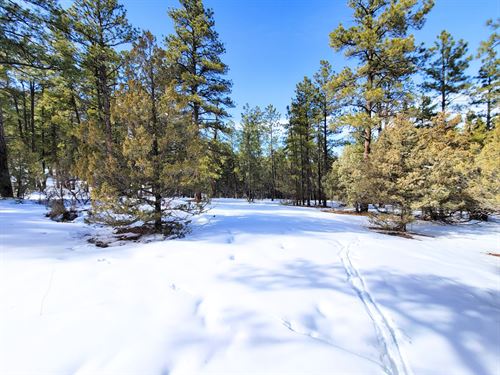 2.13 Ac Near El Vado Reservoir : Tierra Amarilla : Rio Arriba County : New Mexico