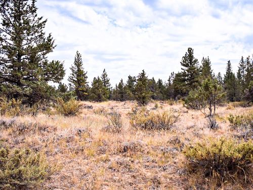 2.22 Wooded Acres with Power : Bonanza : Klamath County : Oregon