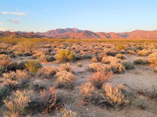 Arizona Off-Grid Escape : Yucca : Mohave County : Arizona