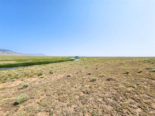 Catch Dinner From The Riverbank : Antonito : Costilla County : Colorado