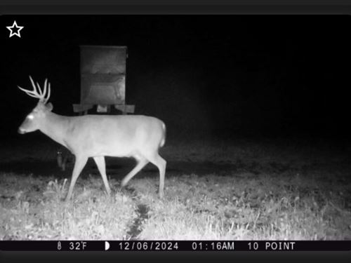 100 Acres of Prime Hunting Habitat : Columbia : Marion County : Mississippi