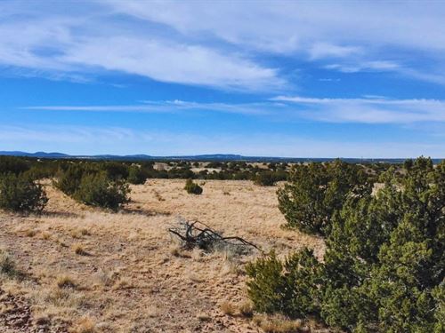 Go Off-Grid in Style $175-$350/Mo : Williams : Coconino County : Arizona